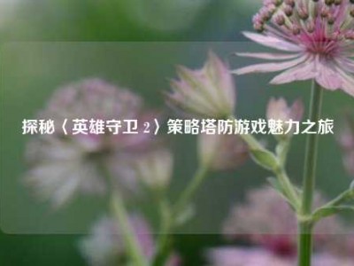 探秘〈英雄守卫 2〉策略塔防游戏魅力之旅