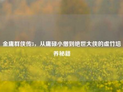 金庸群侠传3，从庸碌小僧到绝世大侠的虚竹培养秘籍