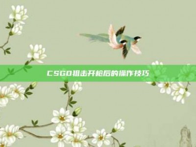 CSGO狙击开枪后的操作技巧