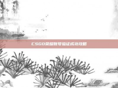 CSGO荣耀账号验证成功攻略