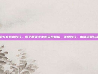 和平精英专家巡查划分，和平精英专家巡查全解析，等级划分、申请流程与实战攻略
