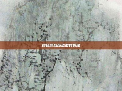 揭秘渡劫后造型的奥秘