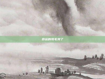 命运的羽毛哭了