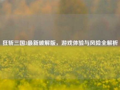狂斩三国3最新破解版，游戏体验与风险全解析