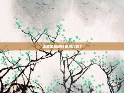 王者荣耀嗨氏在第几区？