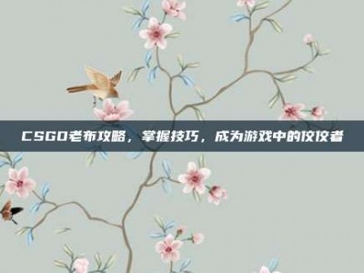 CSGO老布攻略，掌握技巧，成为游戏中的佼佼者