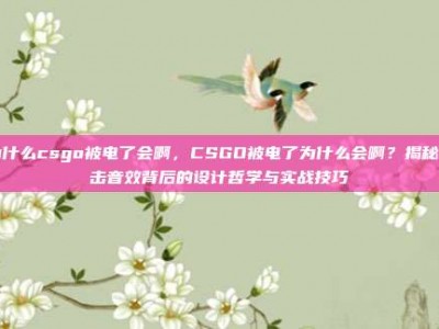 为什么csgo被电了会啊，CSGO被电了为什么会啊？揭秘电击音效背后的设计哲学与实战技巧