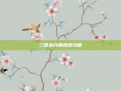 三国杀开局视频攻略