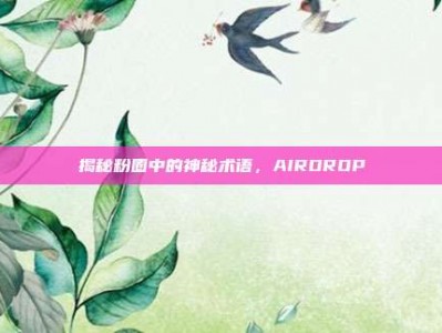揭秘粉圈中的神秘术语，AIRDROP