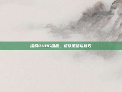 探索PUBG国服，组队策略与技巧