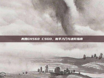 奔腾G4560 CSGO，新手入门与进阶指南