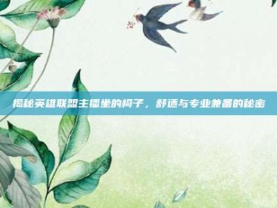 揭秘英雄联盟主播坐的椅子，舒适与专业兼备的秘密