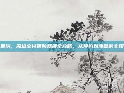 宝兴医院，深圳宝兴医院就医全攻略，从预约到康复的实用指南