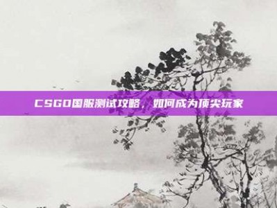 CSGO国服测试攻略，如何成为顶尖玩家