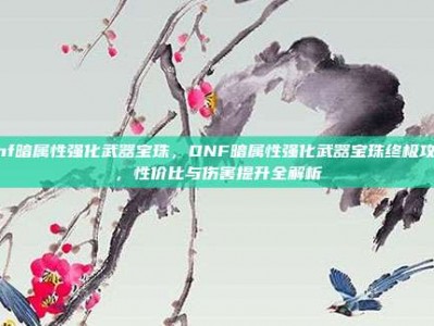 dnf暗属性强化武器宝珠，DNF暗属性强化武器宝珠终极攻略，性价比与伤害提升全解析