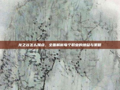 龙之谷怎么加点，全面解析每个职业的增益与策略