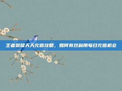 王者荣耀天天充值攻略，如何有效利用每日充值机会