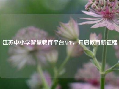 江苏中小学智慧教育平台APP，开启教育新征程