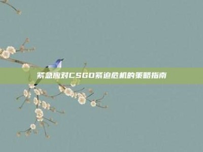 紧急应对CSGO紧迫危机的策略指南