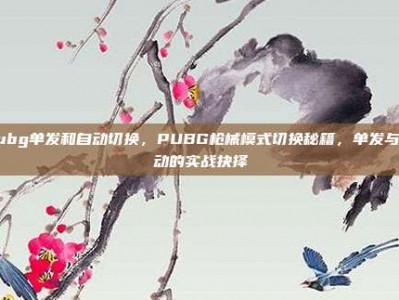 pubg单发和自动切换，PUBG枪械模式切换秘籍，单发与自动的实战抉择