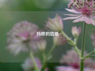 玛修的信纸
