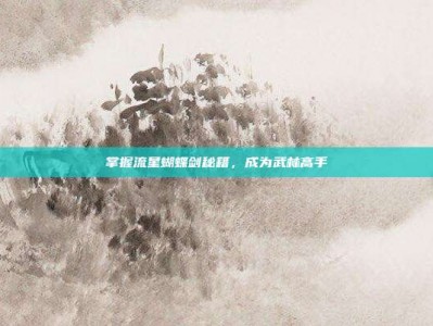 掌握流星蝴蝶剑秘籍，成为武林高手