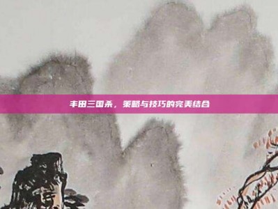 丰田三国杀，策略与技巧的完美结合