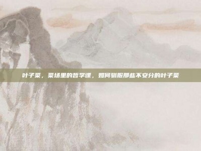 叶子菜，菜场里的哲学课，如何驯服那些不安分的叶子菜