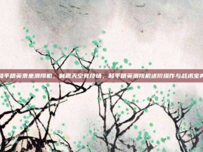 和平精英乘坐滑翔机，制霸天空竞技场，和平精英滑翔机进阶操作与战术宝典