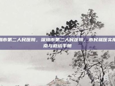 深圳市第二人民医院，深圳市第二人民医院，市民就医实用指南与避坑手册