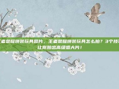 王者荣耀拼装玩具图片，王者荣耀拼装玩具怎么拍？3个技巧让你拍出高级感大片！