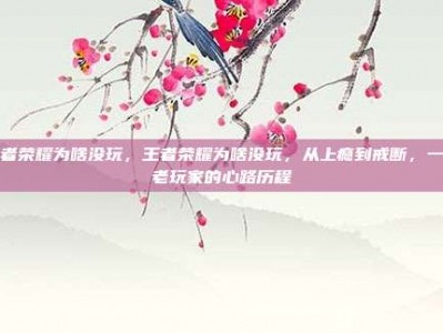 王者荣耀为啥没玩，王者荣耀为啥没玩，从上瘾到戒断，一个老玩家的心路历程