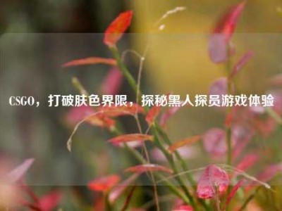 CSGO，打破肤色界限，探秘黑人探员游戏体验