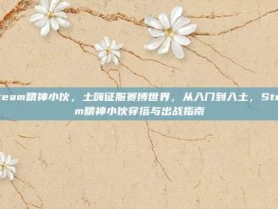 steam精神小伙，土嗨征服赛博世界，从入门到入土，Steam精神小伙穿搭与出战指南