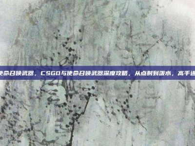 csgo使命召唤武器，CSGO与使命召唤武器深度攻略，从点射到泼水，高手进阶指南