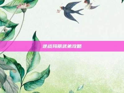 逆战玛丽武弟攻略