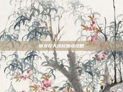 御龙在天法杖加点攻略