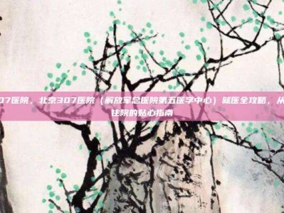 北京307医院，北京307医院（解放军总医院第五医学中心）就医全攻略，从挂号到住院的贴心指南