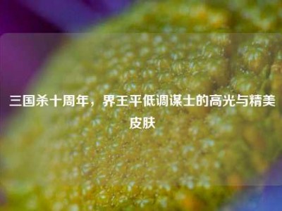 三国杀十周年，界王平低调谋士的高光与精美皮肤