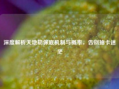 深度解析天地劫保底机制与概率，告别抽卡迷茫