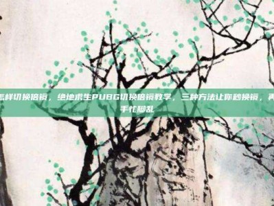 pubg怎样切换倍镜，绝地求生PUBG切换倍镜教学，三种方法让你秒换镜，再也不用手忙脚乱