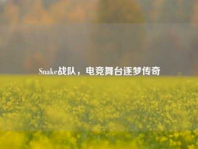 Snake战队，电竞舞台逐梦传奇