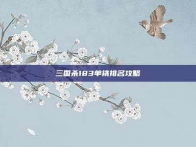 三国杀183单挑排名攻略