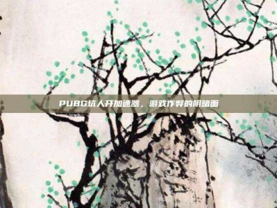 PUBG坑人开加速器，游戏作弊的阴暗面