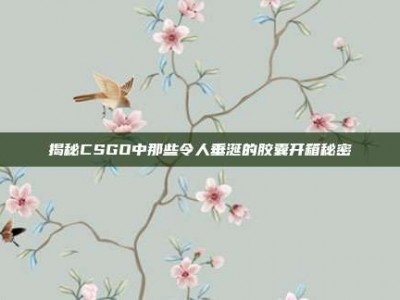 揭秘CSGO中那些令人垂涎的胶囊开箱秘密