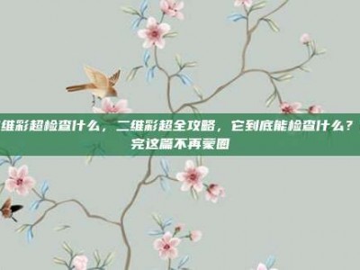 二维彩超检查什么，二维彩超全攻略，它到底能检查什么？看完这篇不再蒙圈