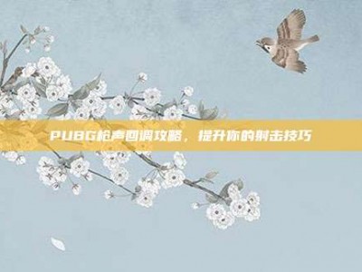 PUBG枪声回调攻略，提升你的射击技巧