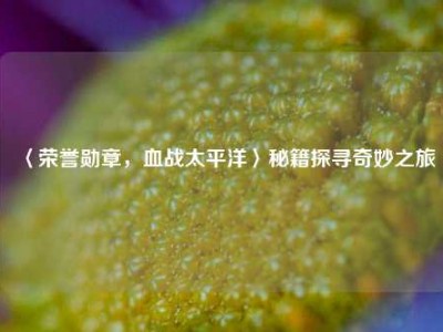 〈荣誉勋章，血战太平洋〉秘籍探寻奇妙之旅