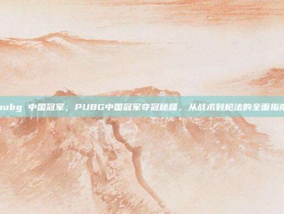 pubg 中国冠军，PUBG中国冠军夺冠秘籍，从战术到枪法的全面指南