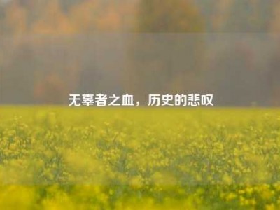无辜者之血，历史的悲叹